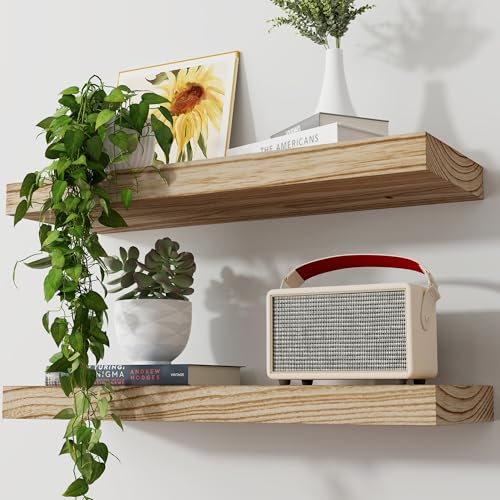 Floating Shelves, 2 Pack 8 Inch Deep Modern Solid Wood Wall Shelves for Storage, Wall Mounted Display Shelving with Invisible Heavy-Duty Metal Bracket, 24" W x 8" D x 1.6" H, Light Carbonized - color: Light Carbonized, size: 24" W, 2-Pack
