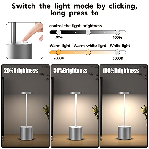 2Pack Cordless Rechargeable LED Restaurants Outdoor Table Lamp | Battery 5000mAh Metal USB Portable Powered Desk Lamp, 3 Levels Brightness Light for (2pack 10.25in Silver) - color: 2pack-10.25in-Silver