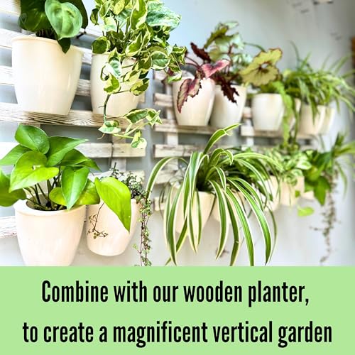 LaLaGreen Self-Watering Wall Planters (4in, 10 Pack) White Indoor Plants | Wall Mount Planter Plant Holder, Modern Hydroponic Wall Pots Vertical Living Plant Garden Decor - size: 4" (10 cm)