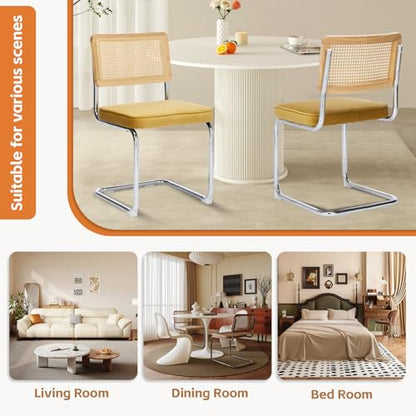 Rattan Dining Chairs Set of 6,Velvet Cesca Chair Kitchen Chair,Gold | VICBARLEY Mid Century Modern Dining Chairs,Wood Cane Backrest&Chrome Base,Upholstered Side Chair for Dining Room,Kitchen - color: Gold, size: Set of 6