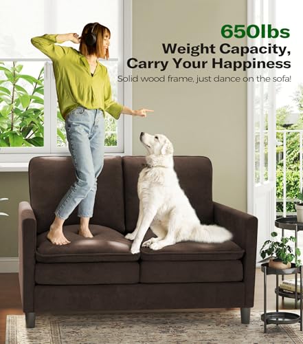 Welzona 3-Layers Cloud Loveseat Sofa, 51" Small Couch, Teddy Small Sofa | Comfy Teddy Fabric, Washable Covers, Tool-Free Setup, All-wood Futon Couch for Living Room, Bedroom, Small Spaces, Brown - color: Brown, size: cloud loveseat