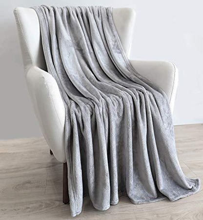 TASTHROW Large Flannel Fleece Throw Blanket, 50×70 Inch - Light Grey | Cozy Lightweight Thick Blanket - All Seasons Suitable for Women, Men and Kids - color: Lightgrey, size: 50"x70"