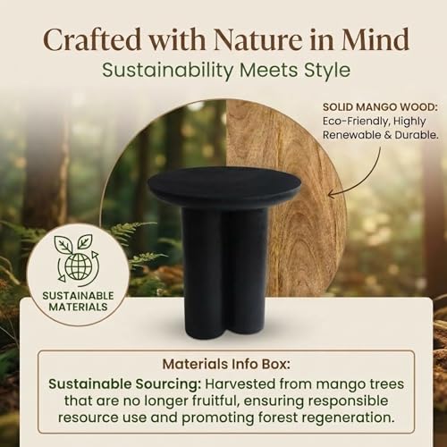 Relso Gaia Round End Table for Living Room and Bedroom, Solid Mango Wood Side Table or Nightstand, Black Finish, Compact Rustic Design, Boho Modern Farmhouse Style - color: Gaia-black