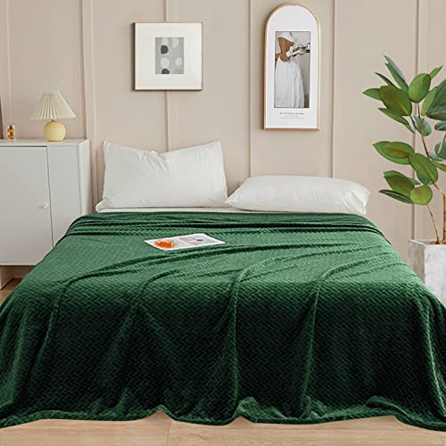 inhand Fleece Blanket for Bed, Super Soft Flannel Cozy King Bed Blanket for Adults, Washable Lightweight Fuzzy Bed Blanket for Office Sofa, Warm Plush Blankets for All Season (90"×108", Green) - color: A-green, size: King/Cal King-90x108 IN