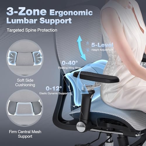MALOL Ergonomic Office Chair, 400lbs High Back Mesh Desk Chair with 6D Armrests, 3D Headrest, Adjustable Lumbar Support, Seat Depth Adjustment, Tilt Lock, Metal Base & PU Wheels, Grey - color: Grey