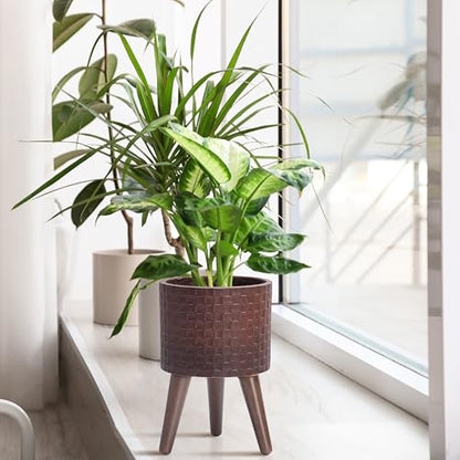 D'vine Dev Planter Pot with Wood Stand, 8 in, Espresso, 88-Z-A-6 | Mid-Century Modern Style, Elevated Plant Display, Drainage Hole and Plug, Functional & Stylish, Modern Indoor Planter - color: Espresso, size: Small