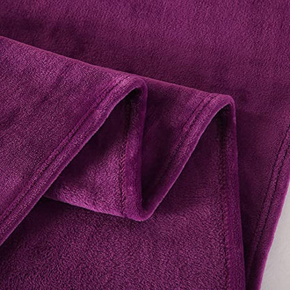 TASTHROW Large Flannel Fleece Throw Blanket, 50×70 Inch | Cozy Lightweight Thick Blanket - All Seasons Suitable for Women, Men and Kids (Two Pack, Purple) - color: Purple, size: Two Pack 50"x70"