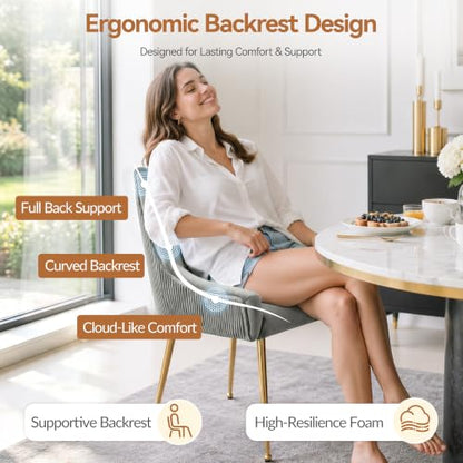 WUTUTUEE Velvet Dining Chairs Set of 6 Gold Legs,Upholstered Velvet Accent Chairs, Pleated Back Design & Gold Pull Handle, Mid Century Modern Chairs for Dining/Kitchen/Living Room,Light Grey - color: Light Grey, size: Set of 6