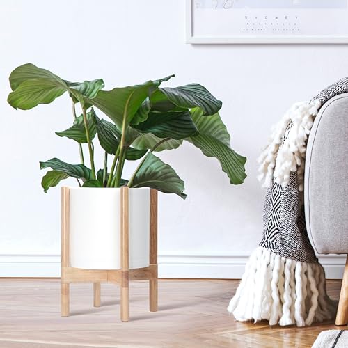 D'vine Dev Plastic Pot with Natural Wood Stand, White, 10 in, 55-C-M-1 | Mid-Century Inspired Design, Elevated Plant Display, Clean Lines, Sturdy Support, Modern Space-Saving Style - color: Matte White Pot + Natural Stand, size: 10 Inch
