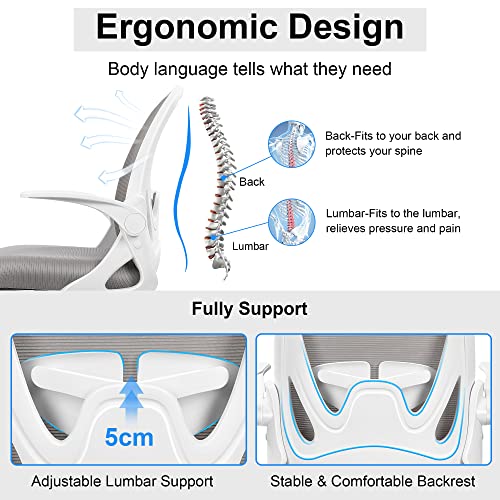 Office Chair Ergonomic Desk Chair with Adjustable Lumbar Support and Height, Swivel Breathable Desk Mesh Computer Chair with Flip up Armrests for Conference Room（Gray） - color: Grey