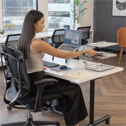 Fellowes Workstation Legal Size Desk Tray Organizer, Wire, Black (65112)