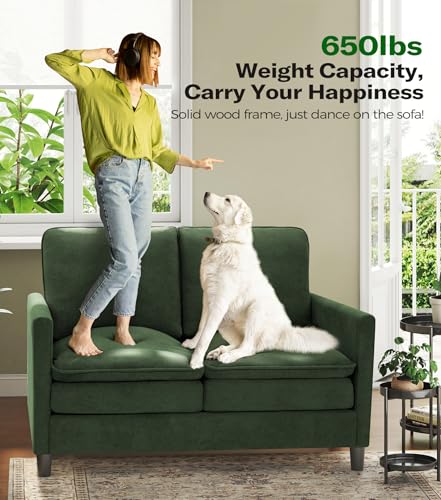 Welzona 3-Layers Cloud Loveseat Sofa, 51" Small Couch, Teddy Small Sofa | Comfy Teddy Fabric, Washable Covers, Tool-Free Setup, All-wood Futon Couch for Living Room, Bedroom, Small Spaces, Green - color: Green, size: cloud loveseat