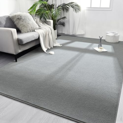 FlyDOIT Area Rugs for Bedroom Living Room, 4x6 Grey Super Soft Comfy Thickened Memory-Foam Indoor Carpets, Modern Aesthetic Minimalist Carpet for Boys Girls Adults Apartment Nursery Home Décor - color: Grey, size: 4' x 6' (Rectangular)