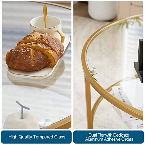 VINGLI 30" Glass Coffee Table, Round Coffee Tables Living Room, Matte Gold | 2-Tier Clear Coffee Table with Storage, Circle Side Table Metal Frame, Modern Center Table Mesa de Centro para Sala - color: Clear-matte Gold, size: 30.7"