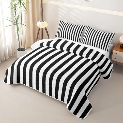 Black White Stripes Quilted Coverlet Set Full Size,Striped Quilted Sets for Kids Girls Modern Geometric Lines Microfiber Lightweight,Retro Abstract Aesthetic 3Pcs with 2 Pillow Shams - color: Black White Stripes, size: Full