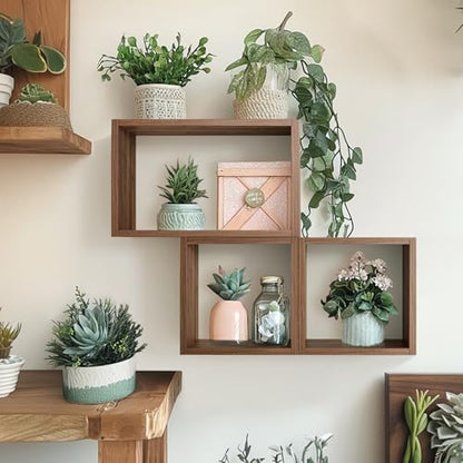 Wall Mount Shelf Set of 3, Floating Cube Shelves for Space Discovery Home and Commercial Use, Large Size Shelves Set, Dark Walnut - color: Dark Walnut, size: Set3