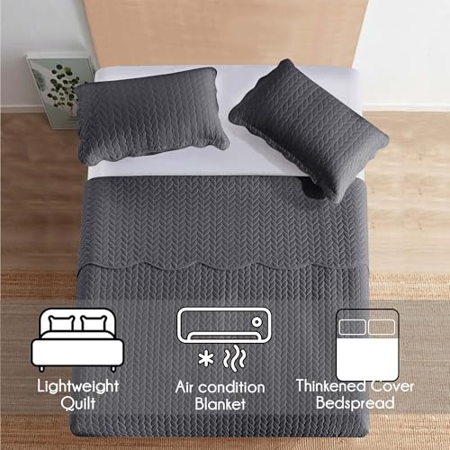 MOONLIGHT20015 Twin Quilt Bedding Set (68” x 86”) - Bulk Pack of 10 Wholesale for Hotels, Guest Bedroom & Airbnbs - Lightweight Microfiber Reversible Embossed Quilts Bedspreads (Charcoal) - color: Charcoal/Dark Grey, size: Twin (10 Pack)