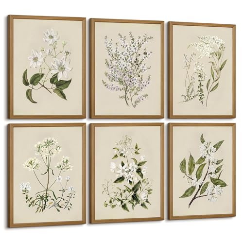 Baccone Vintage Botanical Wall Art Set of 6 Neutral Floral Canvas Wall Decor Wildflower Wall Art Watercolor Flower Prints Botanical Poster Minimalist Plant Pictures for Bedroom Room 12x16 Inch Framed - color: Neutral Floral Prints, size: 12x16 Inch Framed