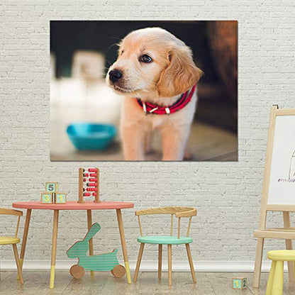 Customized Small Wall Mural with Your Pet Photos, Removable Self-Adhesive Wallpaper for Living Room Bedroom - 36x48 inches - color: Custom-pet, size: 36"x48"