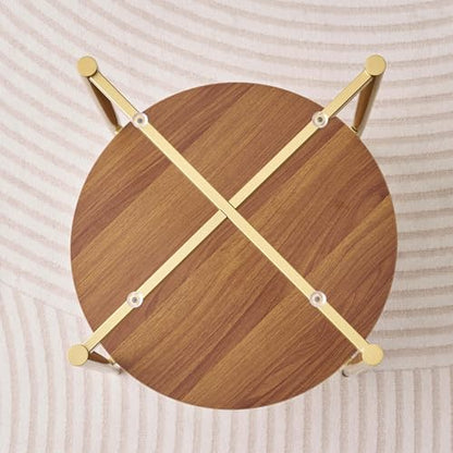 LumFurn D18in Round Glass End Table, Mid-Century Modern Design Side Table for Living Room, D18xH23inch, Clear Glass and Walnut MDF Wood, Conical Legs with Gold Finish Frame - color: D18" Clear & Walnut