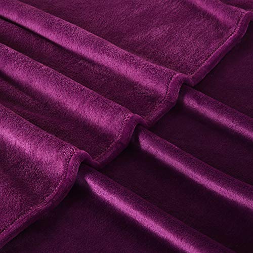 TASTHROW Large Flannel Fleece Throw Blanket, 50×70 Inch | Cozy Lightweight Thick Blanket - All Seasons Suitable for Women, Men and Kids (Two Pack, Purple) - color: Purple, size: Two Pack 50"x70"