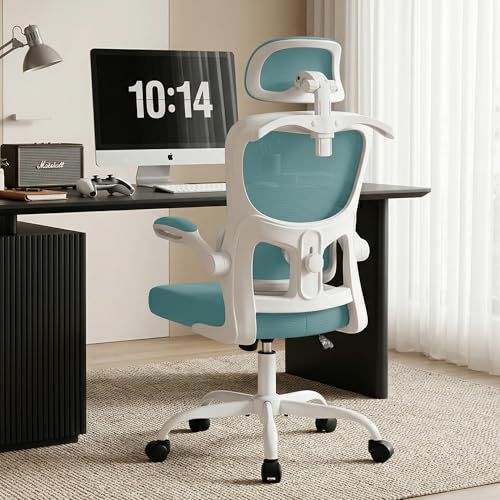 Office Chair Ergonomic Desk Chairs with Adjustable Lumbar Support& Headrest Hanger, High Back Breathable Mesh Chair with Wheels, Rolling Swivel Comfy Task Computer Chair for Home Work Gaming - color: Aqua