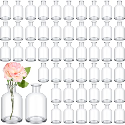 Lallisa 54 Pcs 3.15 Inches Small Glass Bud Vases Bulk Mini Flower Vases for Centerpieces Decorative Glass Bottles Vintage Rustic Decoration for Wedding Dining Table Home Decor - color: Transparent, size: 3.15 Inches