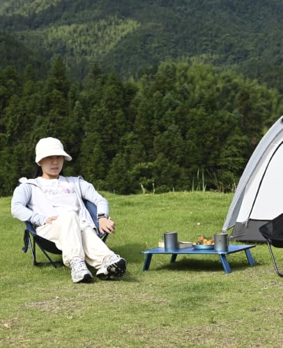 Ultralight Compact Mini Beach Picnic Folding Table with Carry Bag | with Carry Bag, for Camping Backpacking Hiking Beach Picnic - color: Silver, size: Large