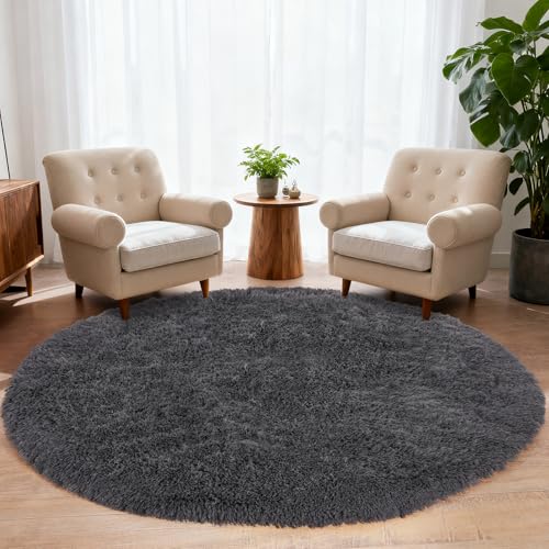 Large Round Rug 5ft, Fluffy Circle Rugs for Bedroom, Plush Shag Carpets | Anthracite Gray Non Slip Rugs, Modern Indoor Carpet for Living Room Kids Room Nursery Playroom Dorm Home Decor - color: Anthracite Gray, size: 5' (Round)