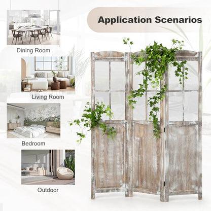 GOFLAME 3-Panel Folding Room Divider, 6FT Paulownia Wood Privacy Screen with Mesh Window, Natural Rustic Freestanding Wall Divider Partition for Room Separation, No Assembly Required