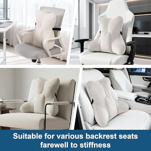 Lumbar Support Pillow(Pat. Pend) – Multi-Functional Ergonomic Back Cushion for Sofa Chair, Car Seat & Sofa, Reading Pillow with Firm Multi-Zone Support to Relieve Lower Back Pain, Misty White - color: Misty White