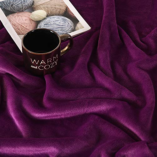TASTHROW Large Flannel Fleece Throw Blanket, 50×70 Inch | Cozy Lightweight Thick Blanket - All Seasons Suitable for Women, Men and Kids (Two Pack, Purple) - color: Purple, size: Two Pack 50"x70"