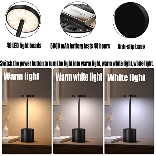 2Pack Cordless Table Lamp, Rechargeable LED Battery 5000mAh Metal USB Portable Powered Desk Lamp, 3 Levels Brightness Light for Restaurants Outdoor (2pack 10.25in Titanium) | Battery 5000mAh Metal USB Portable Powered Desk Lamp, 3 Levels Brightness Light