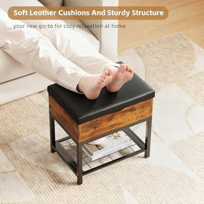 Shoe Storage Bench, Small Ottoman with Storage, Padded Seat, Brown