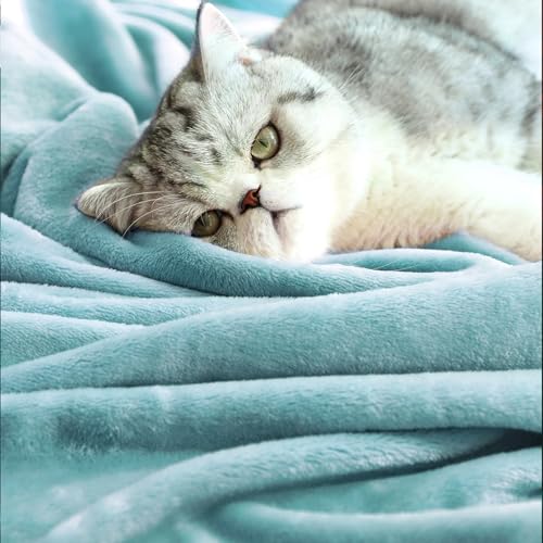 TASTHROW Bluishgreen Throw Blanket 50x60 Inches | Soft Plush Cozy Fleece Flannel Throw Blanket, Lightweight Warm Throws for Bed, Couch, Bedroom and Living Room, All Seasons - color: Bluishgreen, size: 50"x60"