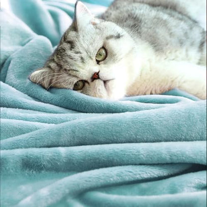 TASTHROW Bluishgreen Throw Blanket 50x60 Inches | Soft Plush Cozy Fleece Flannel Throw Blanket, Lightweight Warm Throws for Bed, Couch, Bedroom and Living Room, All Seasons - color: Bluishgreen, size: 50"x60"