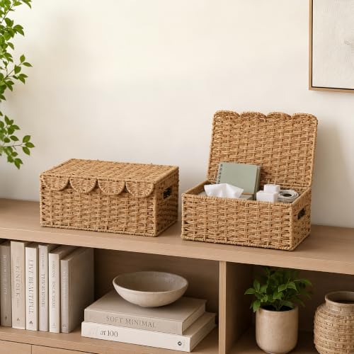 Set of 2 Scalloped Wicker Baskets with Lid,Paper Rope Decorative Storage Baskets for Shelves, Display Shelf, Handmade Cute Woven Basket for Nursery,Living Room Decor