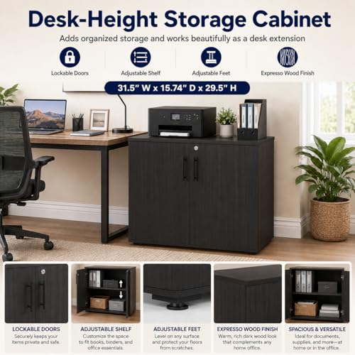 MMT Office Storage Cabinet, Expresso, 2 Door. Adjustable Shelf - color: Expresso