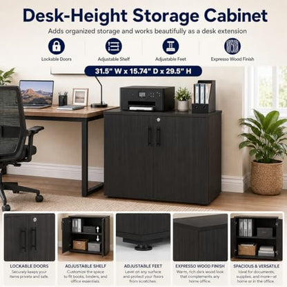 MMT Office Storage Cabinet, Expresso, 2 Door. Adjustable Shelf - color: Expresso