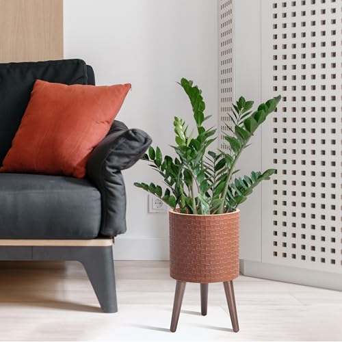 D'vine Dev Planter Pot with Wood Stand, 10 in, Terra Cotta, 88-Z-B-3 | Mid-Century Modern Style, Elevated Plant Display, Drainage Hole and Plug, Functional & Stylish, Modern Indoor Planter - color: Terra Cotta, size: Medium