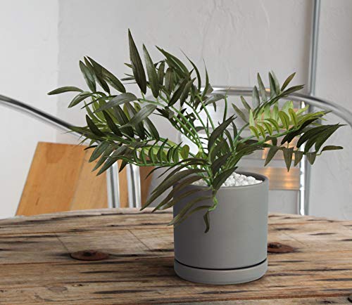 D'vine Dev 2-Pack Ceramic Pots with Saucers, Grey, 6 in, 94-V-C-3 | Modern Cylinder Design, Glazed Ceramic, Drainage Hole & Saucer Included, High Temperature Fired, Elegant Home Accent - color: Gray, size: 6 Inch