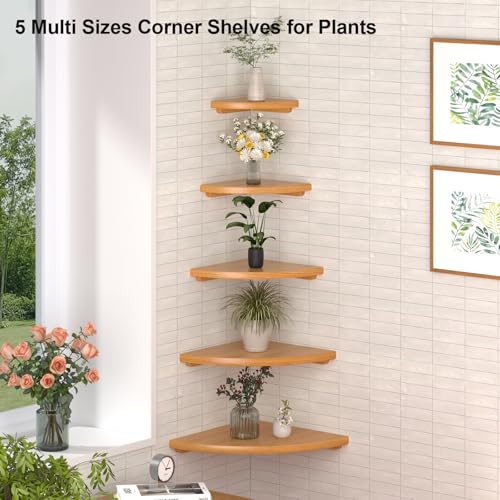 Gieanoo Corner Wall Shelf,12inch Solid Oak Wood Floating Corner Shelf with Wire Hole Corner Wall Storage Display Shelves for Living Room Bedroom Bathroom Kitchen - color: Natural, size: 12in 1-Pack