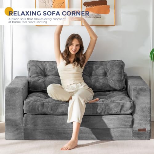 MAXYOYO Folding Sofa Bed, Convertible Sleeper Loveseat with Pillows | 2-Person Fold-Out Loveseat, Convertible Sleeper Bed with Supportive Pillows for Relaxing or Overnight Guests, Dark Grey - color: Dark Grey