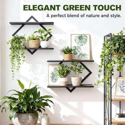 2 Pack Wall Planters for Indoor Plants, Black | 2-Tier Floating Wall Shelves, Wall Mounted Plant Holder Stand, For Bathroom Living Room Bedroom Kitchen Office - color: Black-2pack