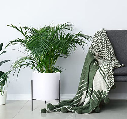 D'vine Dev Modern White Plants Pot Cylinder Planter with Heavy Duty Stand, XX-Large 16 Inch Pot, 22.8 Inch with Stand Height, 96-T-A-5 | Durable Fiberclay Construction, Sleek Modern Design, Heavy-Duty Iron Stand, Drainage Hole & Saucer - color: White, siz