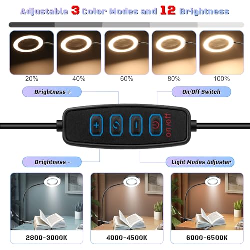 10X Magnifying Glass with Light Clip on Mganifier with 48 LED Lights | Desk Magnifying Glass wtih Clamp, 3 Modes Dimmable Magnifying LED Lamps for Bed Work Crafts DIY