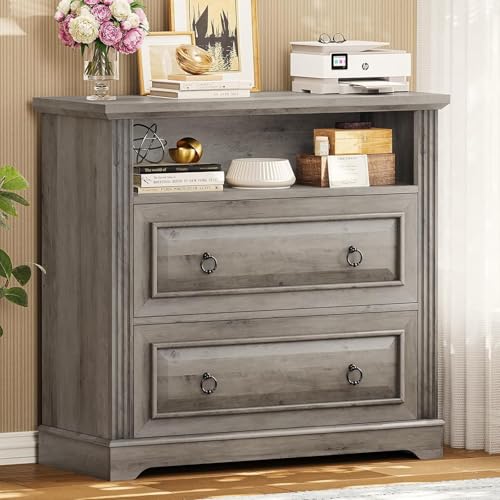 Itaar 2 Drawer File Cabinet, Farmhouse Filing Cabinet for Home Office Fits Letter, Legal, A4 Size, Wood Lateral File Cabinet with Printer Stand, Storage Shelf, Grey - color: Grey