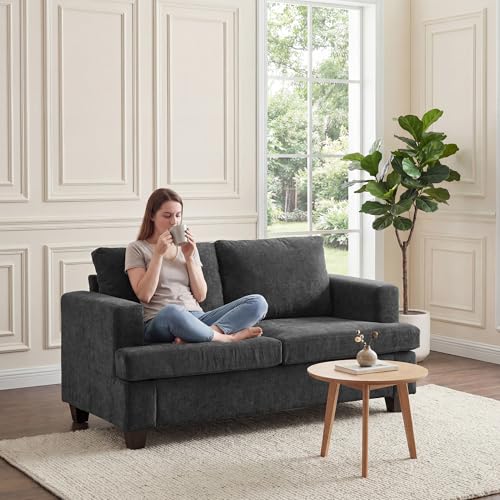 Apicizon 63" Cloud Sofa Loveseat Sofas, Comfy Loveseat Couch for Bedroom Living Room, Couch Sofa with Removable Cushions, Dark Grey Chenille - color: Dark Grey Chenille, size: Loveseat