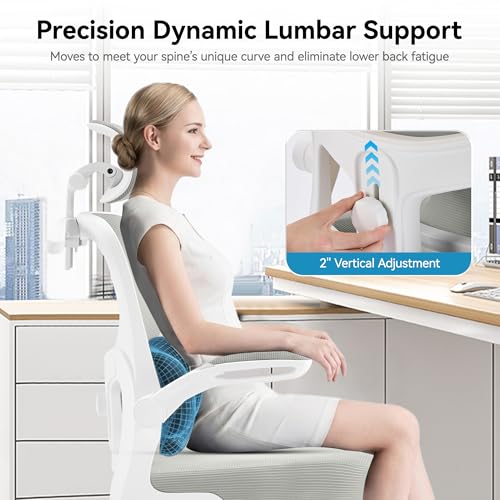 Ergonomic Office Chair, Desk Chair with Adjustable Lumbar Support | High Back Breathable Mesh Computer Chair with Adjustable Headrest,Hanger,Flip Up Armrest and Rocking Function for Home Office - color: Grey