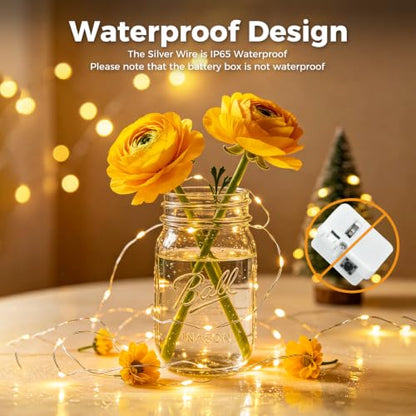btfarm 20 Pack Fairy Lights Battery Operated Twinkle Lights with 3 Modes | 7Ft 20 Led String Light, Waterproof Bulk Small Mini Silver Wire for Christmas Mason Jars Wedding Table Centerpiece,Warm White - color: Warm White, size: 20 Pack